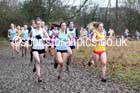 Senior girls Northern Inter Counties Schools Cross Country, Stockton. Photo: David T. Hewitson/Sports for All Pics